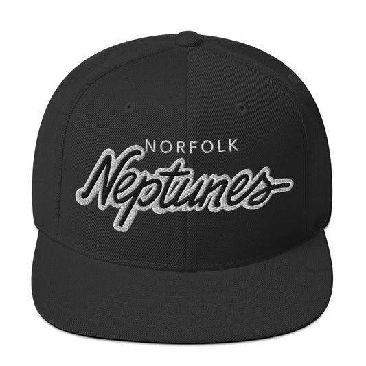 Norfolk Neptuned Snapback Hat