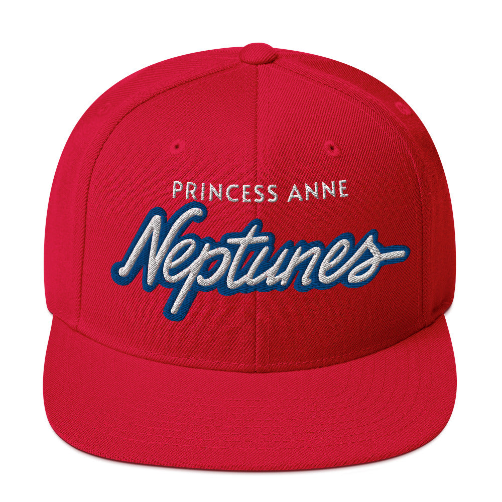 Virginia Beach Neptuned Snapback Hat