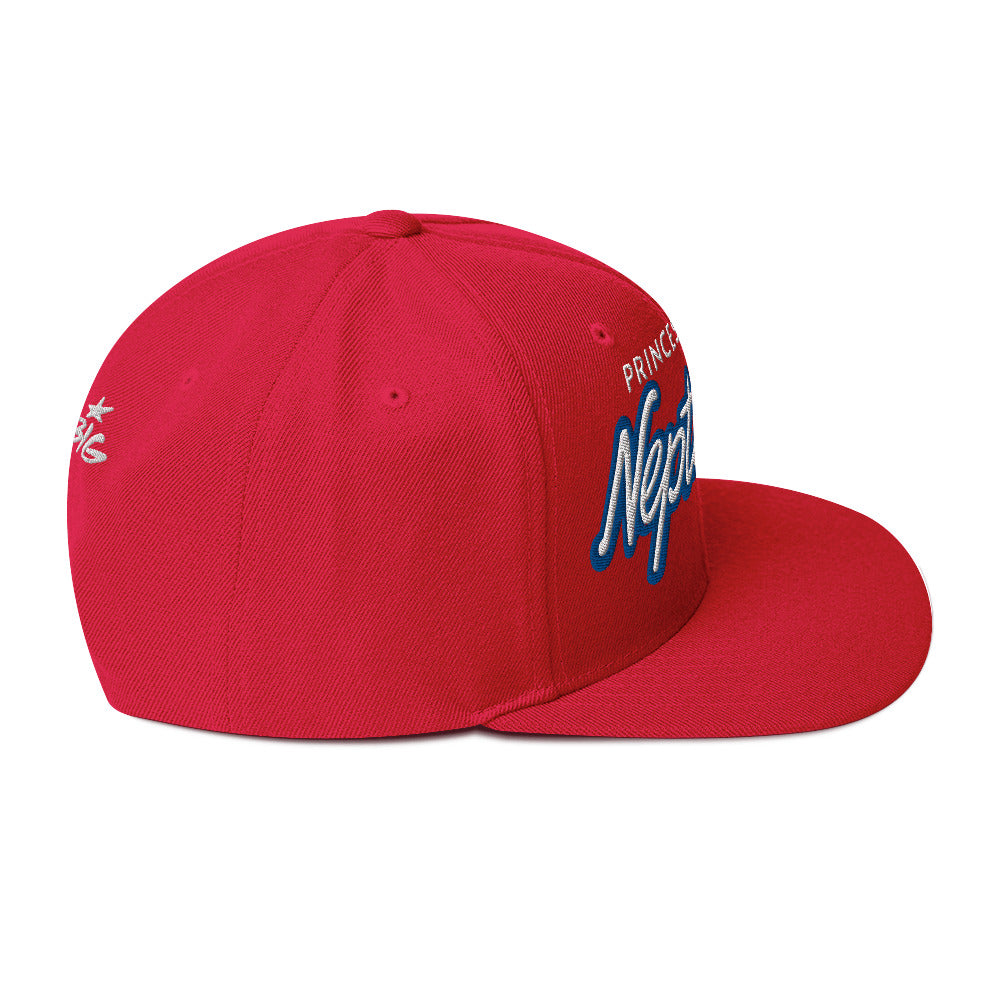 Virginia Beach Neptuned Snapback Hat